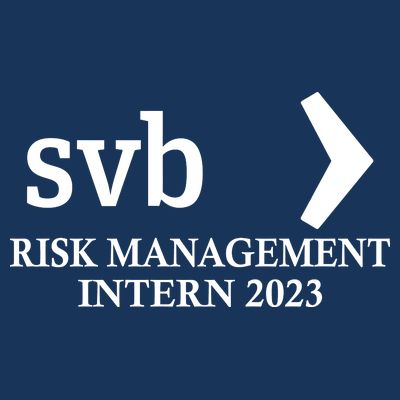 SVB Risk Management Intern Department Dept Team 2023 T-Shirt