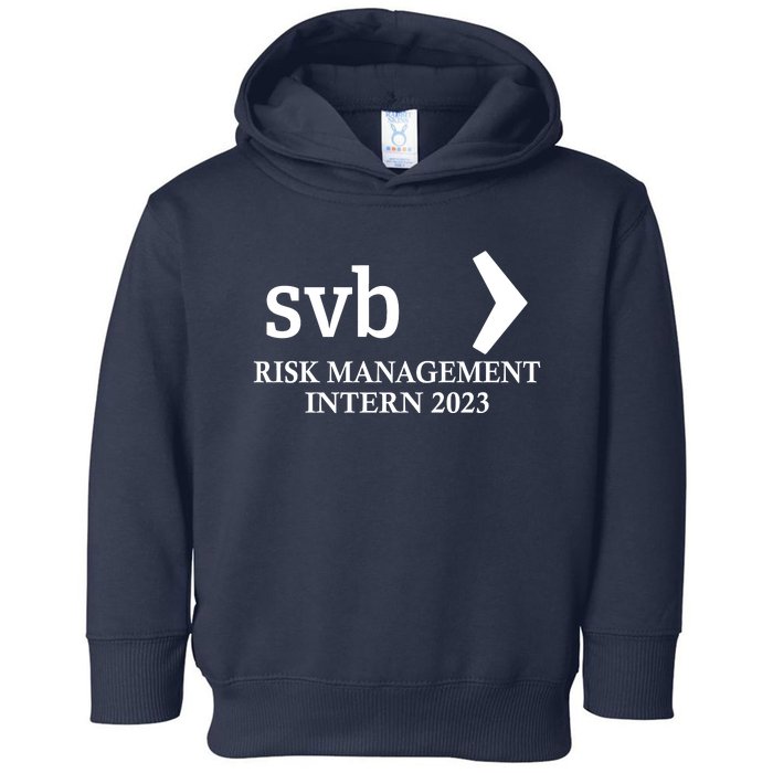 SVB Risk Management Intern Department Dept Team 2023 Toddler Hoodie