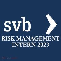 SVB Risk Management Intern Department Dept Team 2023 Toddler Hoodie