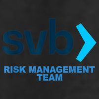 SVB Risk Management Team Funny Svb 7 Panel Mesh Trucker Snapback Hat
