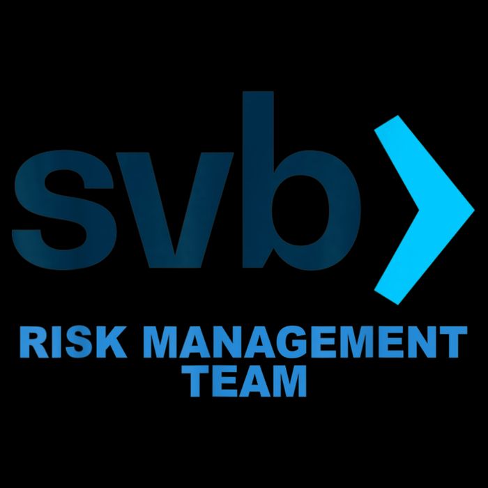 SVB Risk Management Team Funny Svb Impact Tech Backpack