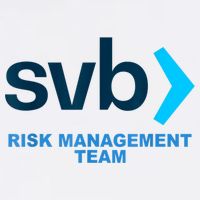 SVB Risk Management Team Funny Svb Mousepad