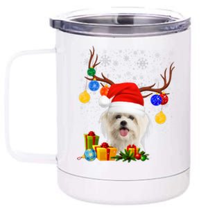 Santa Reindeer Maltese Dog Christmas Lights Xmas 12 oz Stainless Steel Tumbler Cup