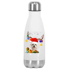 Santa Reindeer Maltese Dog Christmas Lights Xmas Stainless Steel Insulated Water Bottle