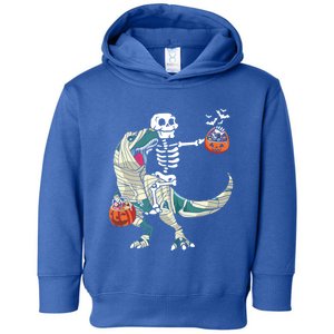 Skeleton Riding Mummy Dinosaur T Rex Halloween Funny Pumpkin Gift Toddler Hoodie