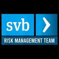 SVB Risk Management Team Svb Risk Management Department 7-Panel Snapback Hat