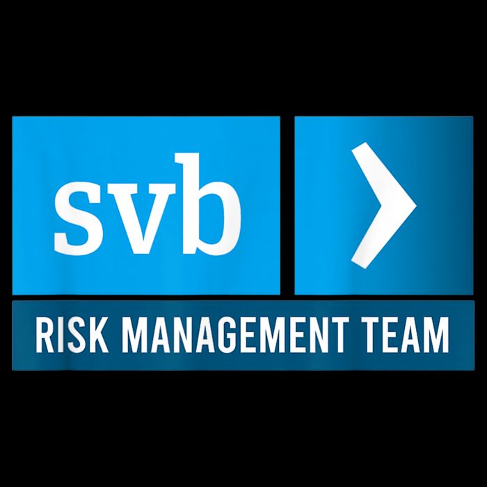 SVB Risk Management Team Svb Risk Management Department 7-Panel Snapback Hat