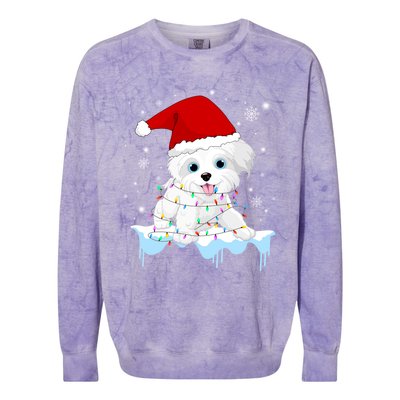 Santa Reindeer Maltese Christmas Tree Light Pajama Xmas Gift Colorblast Crewneck Sweatshirt