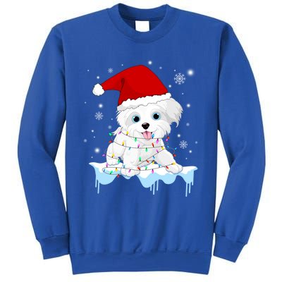 Santa Reindeer Maltese Christmas Tree Light Pajama Xmas Gift Sweatshirt