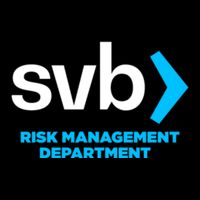 SVB Risk Management Team Svb Risk Management Department Wool Snapback Cap