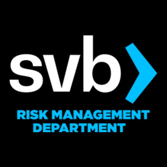 SVB Risk Management Team Svb Risk Management Department Wool Snapback Cap