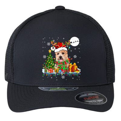 Santa Reindeer Norwich Terrier Xmas Tree Lights Dog Owner Gift Flexfit Unipanel Trucker Cap