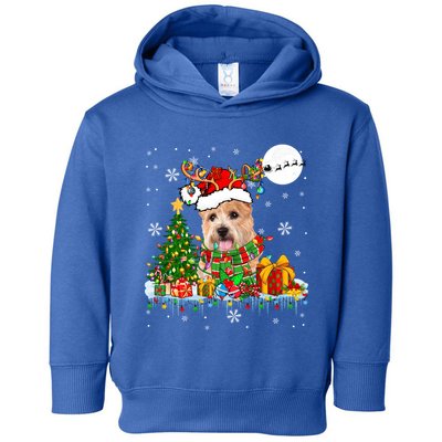Santa Reindeer Norwich Terrier Xmas Tree Lights Dog Owner Gift Toddler Hoodie