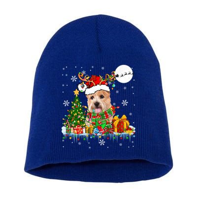 Santa Reindeer Norwich Terrier Xmas Tree Lights Dog Owner Gift Short Acrylic Beanie