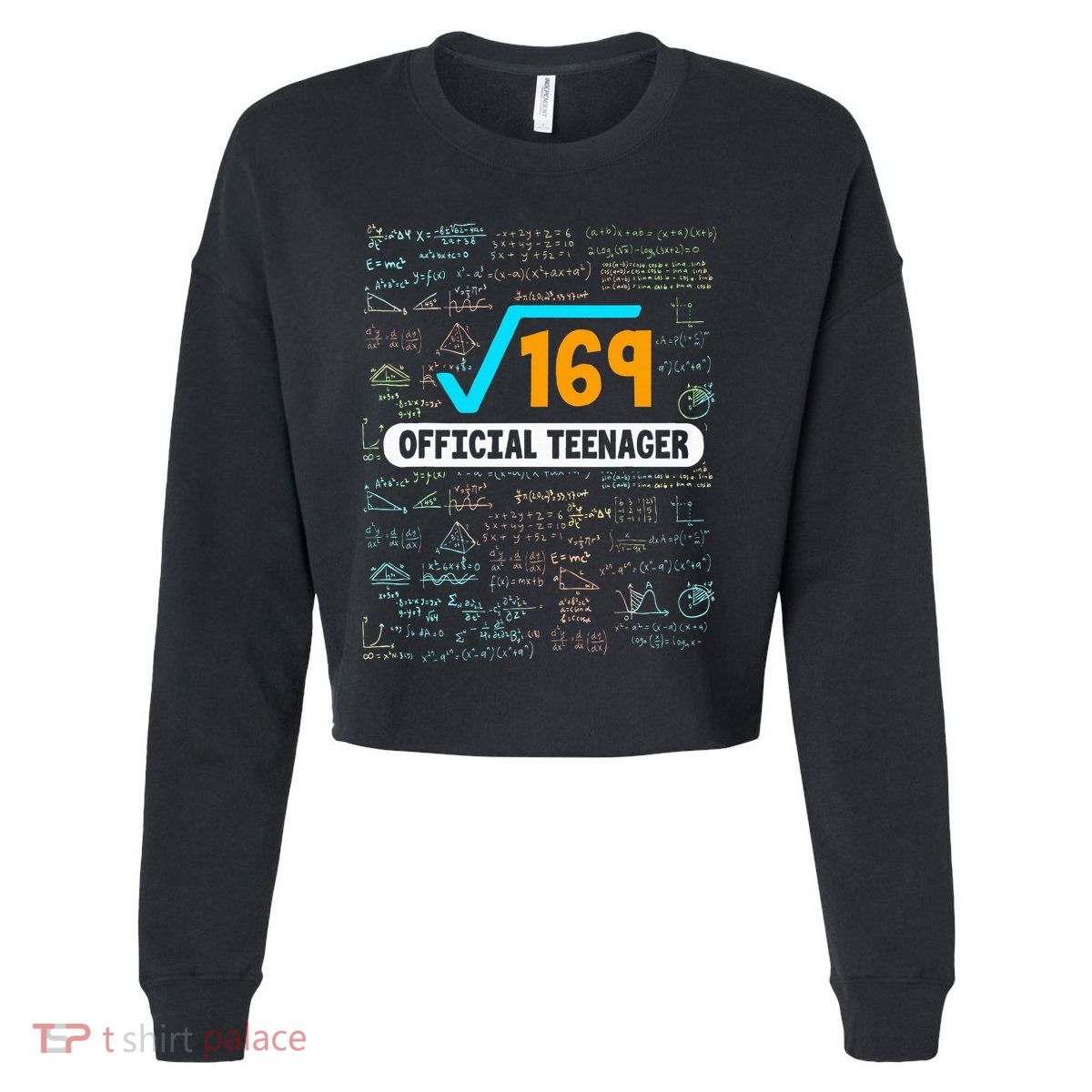 Square Root Of 169 13 Years Old Teenager Birthday Cropped Pullover Crew