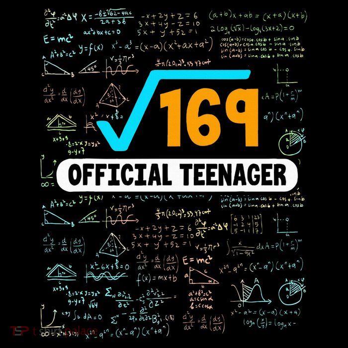 Square Root Of 169 13 Years Old Teenager Birthday Kids T-Shirt