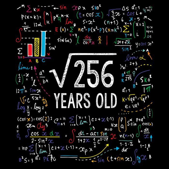 Square Root Of 256 16th Birthday Funny Gift 16 Year Old Gifts Math Bday Cooling Performance Crew T-Shirt