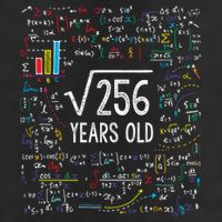 Square Root Of 256 16th Birthday Funny Gift 16 Year Old Gifts Math Bday Adult Drive Performance Visor