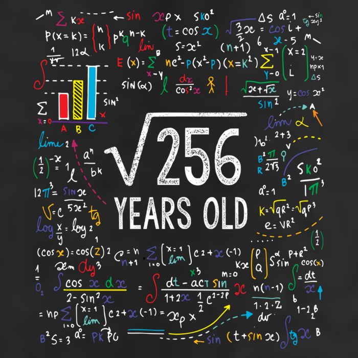 Square Root Of 256 16th Birthday Funny Gift 16 Year Old Gifts Math Bday Adult Drive Performance Visor