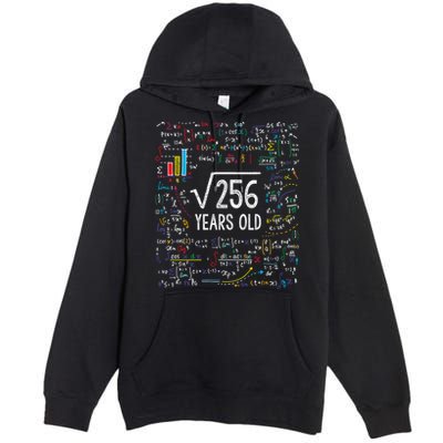 Square Root Of 256 16th Birthday Funny Gift 16 Year Old Gifts Math Bday Premium Pullover Hoodie