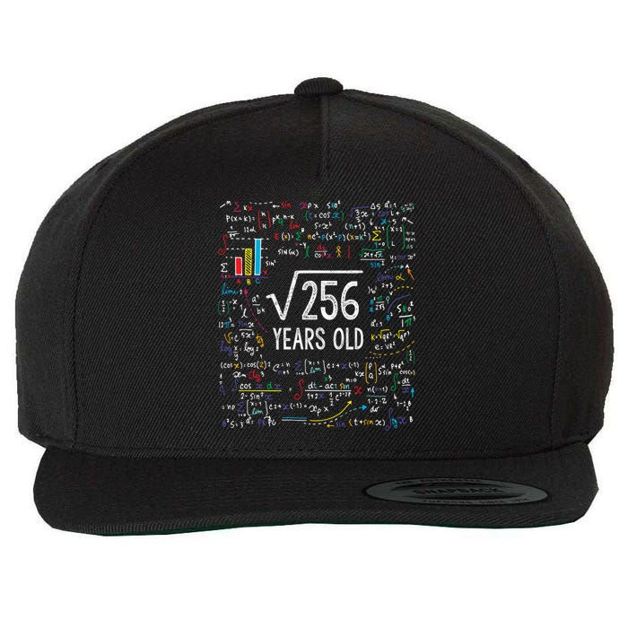 Square Root Of 256 16th Birthday Funny Gift 16 Year Old Gifts Math Bday Wool Snapback Cap