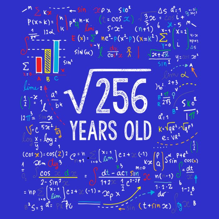 Square Root Of 256 16th Birthday Funny Gift 16 Year Old Gifts Math Bday 16 in Basic Backpack
