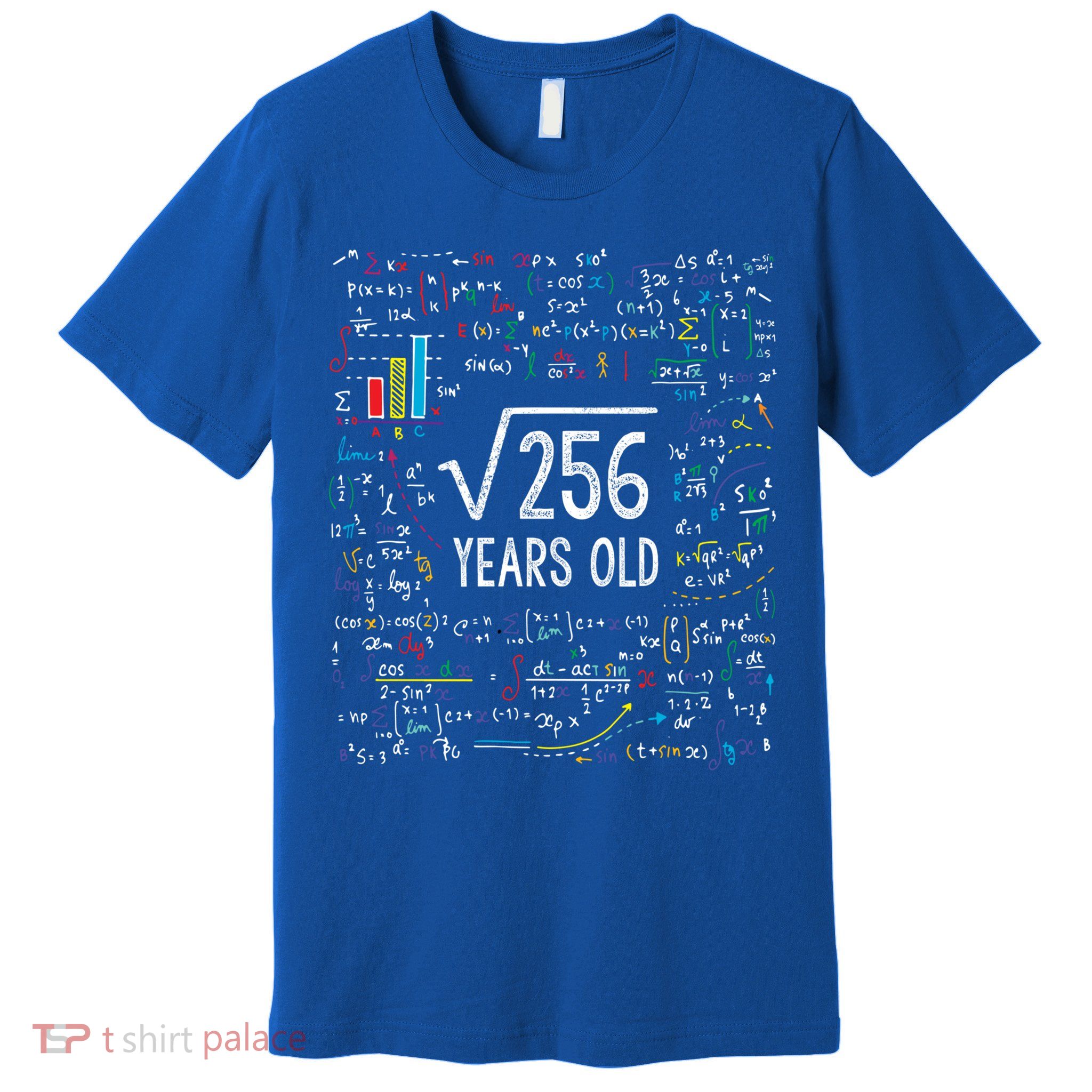 Square Root Of 256 16th Birthday Funny Gift 16 Year Old Gifts Math Bday Premium T-Shirt