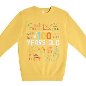 Square Root Of 100 10th Birthday 10 Years Old Birthday Premium Crewneck Sweatshirt