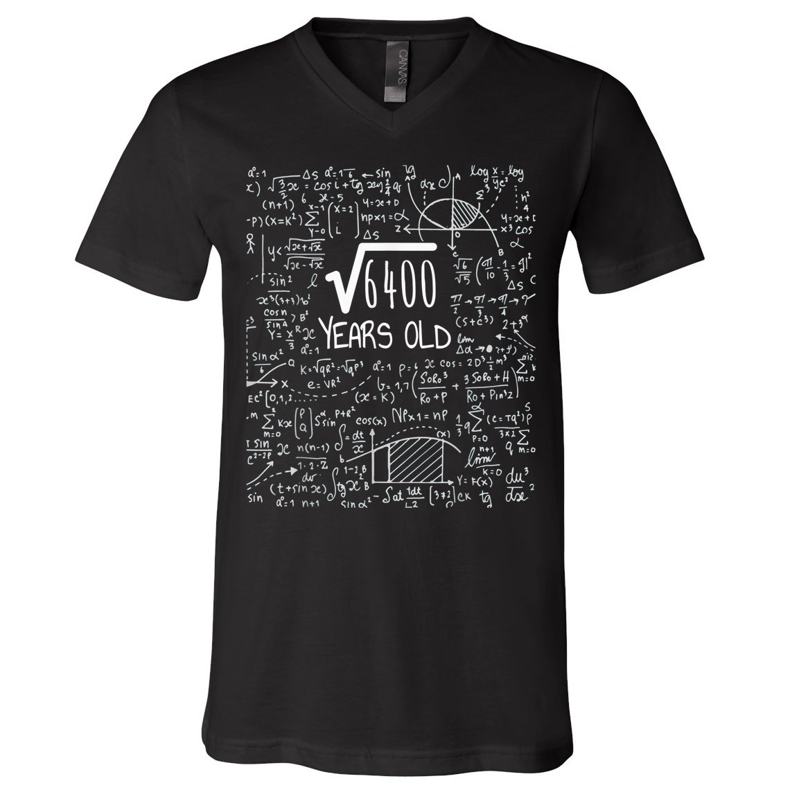 Square Root of 6400: 80 Years Old - 80th Birthday V-Neck T-Shirt
