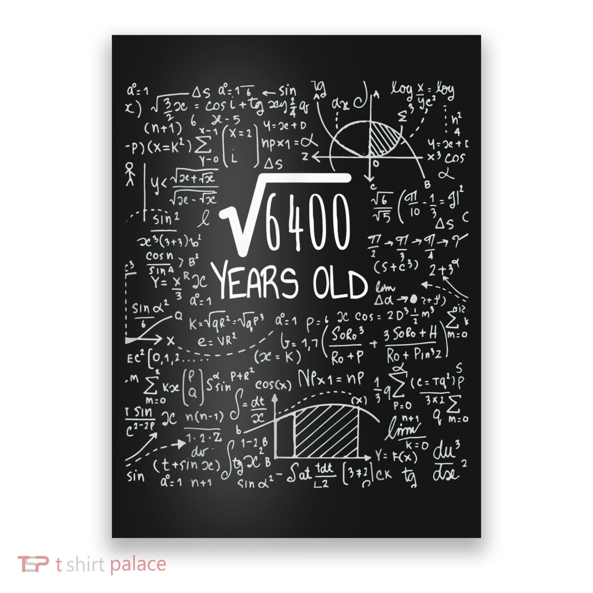 Square Root of 6400: 80 Years Old - 80th Birthday Poster