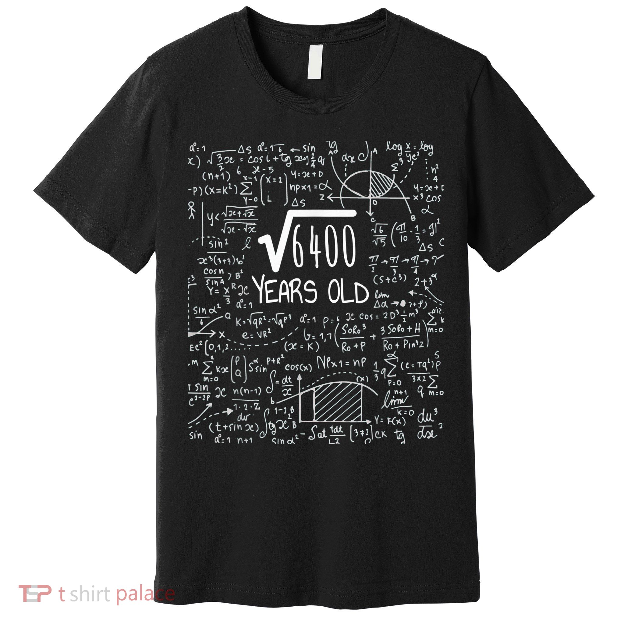 Square Root of 6400: 80 Years Old - 80th Birthday Premium T-Shirt