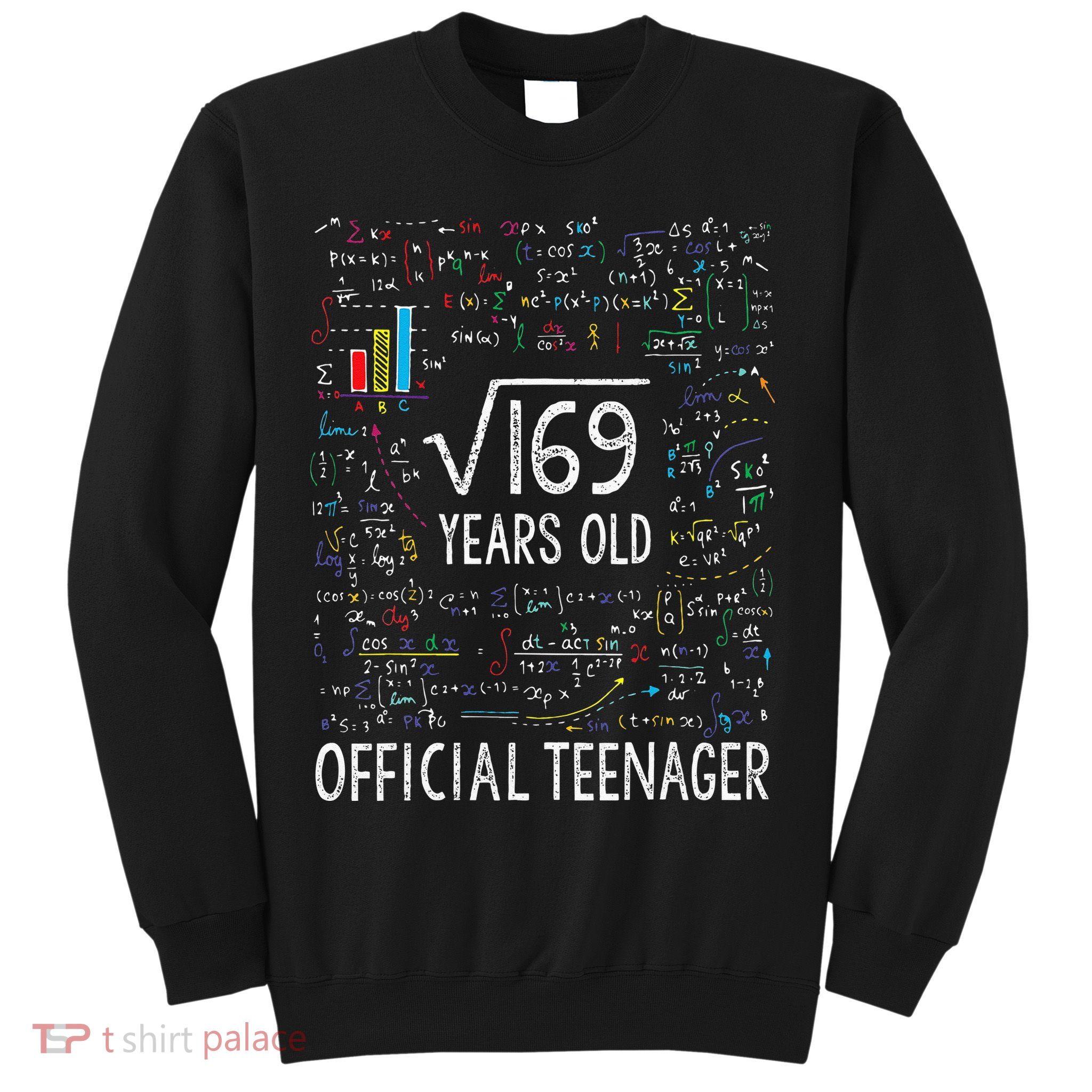 Square Root Of 169 13 Years Old Nager Birthday Sweatshirt