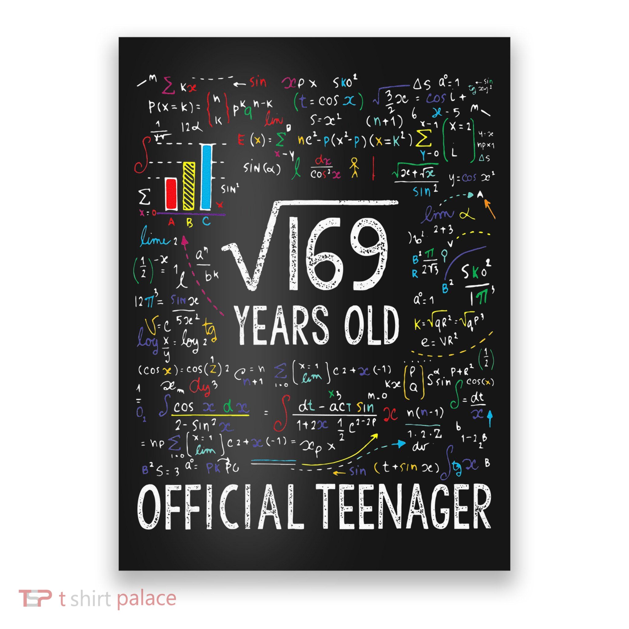 Square Root Of 169 13 Years Old Nager Birthday Poster