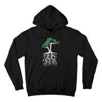 Square Root Pun With A Tree And Math Hoodie