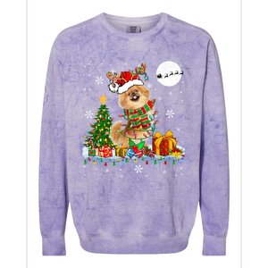 Santa Reindeer Pekingese Christmas Tree Lights Dog Owner Gift Colorblast Crewneck Sweatshirt