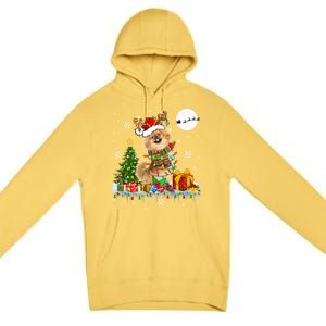 Santa Reindeer Pekingese Christmas Tree Lights Dog Owner Gift Premium Pullover Hoodie