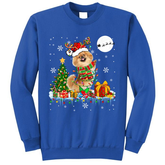 Santa Reindeer Pekingese Christmas Tree Lights Dog Owner Gift Sweatshirt