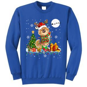 Santa Reindeer Pekingese Christmas Tree Lights Dog Owner Gift Tall Sweatshirt