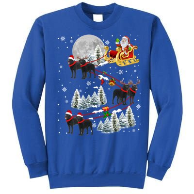 Santa Riding Reindeer Black Labrador Retriever Sleigh Xmas Gift Tall Sweatshirt