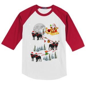 Santa Riding Reindeer Black Labrador Retriever Sleigh Xmas Gift Kids Colorblock Raglan Jersey