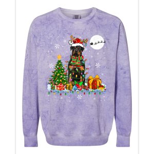 Santa Reindeer Rottweiler Christmas Tree Lights Dog Owner Gift Colorblast Crewneck Sweatshirt