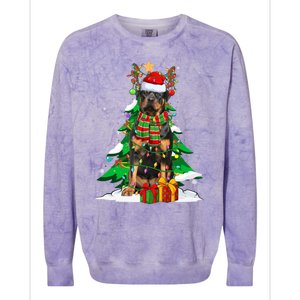 Santa Reindeer Rottweiler Dog Xmas Tree Lights Christmas Pjs Gift Colorblast Crewneck Sweatshirt