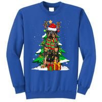 Santa Reindeer Rottweiler Dog Xmas Tree Lights Christmas Pjs Gift Sweatshirt