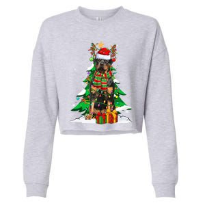 Santa Reindeer Rottweiler Dog Xmas Tree Lights Christmas Pjs Gift Cropped Pullover Crew