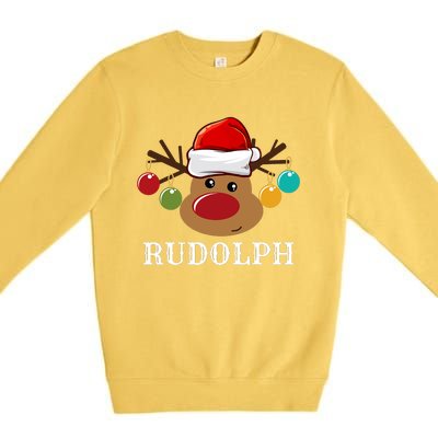 Santa Reindeer Rudolph Xmas Group Costume Premium Crewneck Sweatshirt