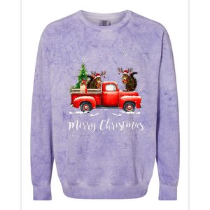 Squirrel Riding Red Truck Christmas Decorations Pajama Colorblast Crewneck Sweatshirt