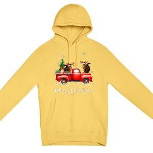 Squirrel Riding Red Truck Christmas Decorations Pajama Premium Pullover Hoodie