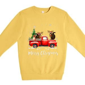 Squirrel Riding Red Truck Christmas Decorations Pajama Premium Crewneck Sweatshirt