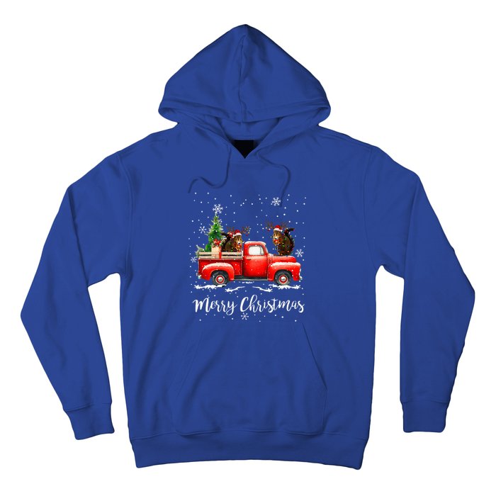 Squirrel Riding Red Truck Christmas Decorations Pajama Hoodie