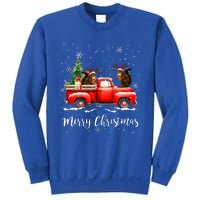 Squirrel Riding Red Truck Christmas Decorations Pajama Sweatshirt